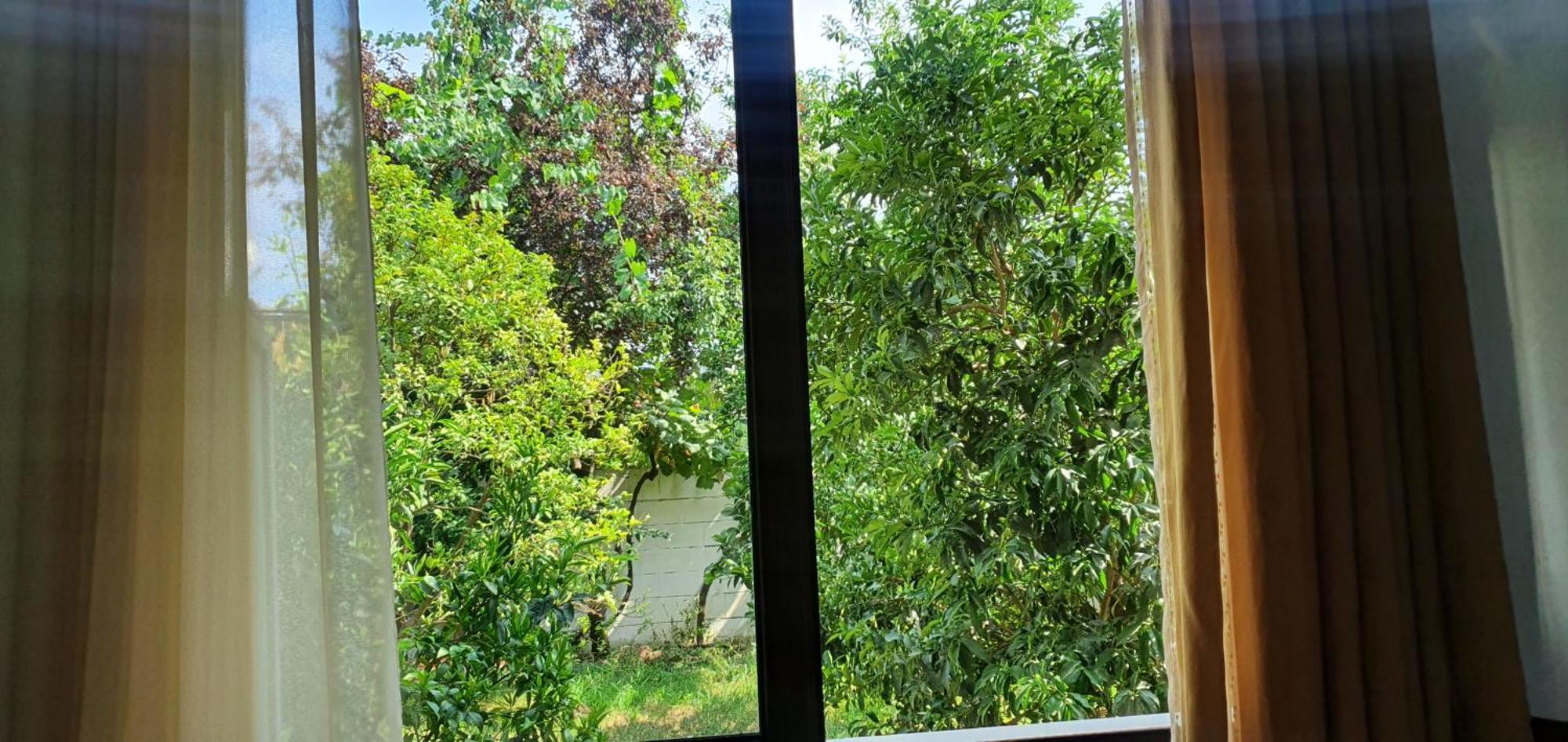 Xho'S Forest Guest House Berat Szoba fotó